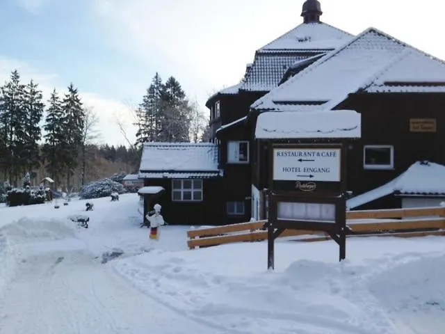 Harzhaus 4* بينيكيشتاين